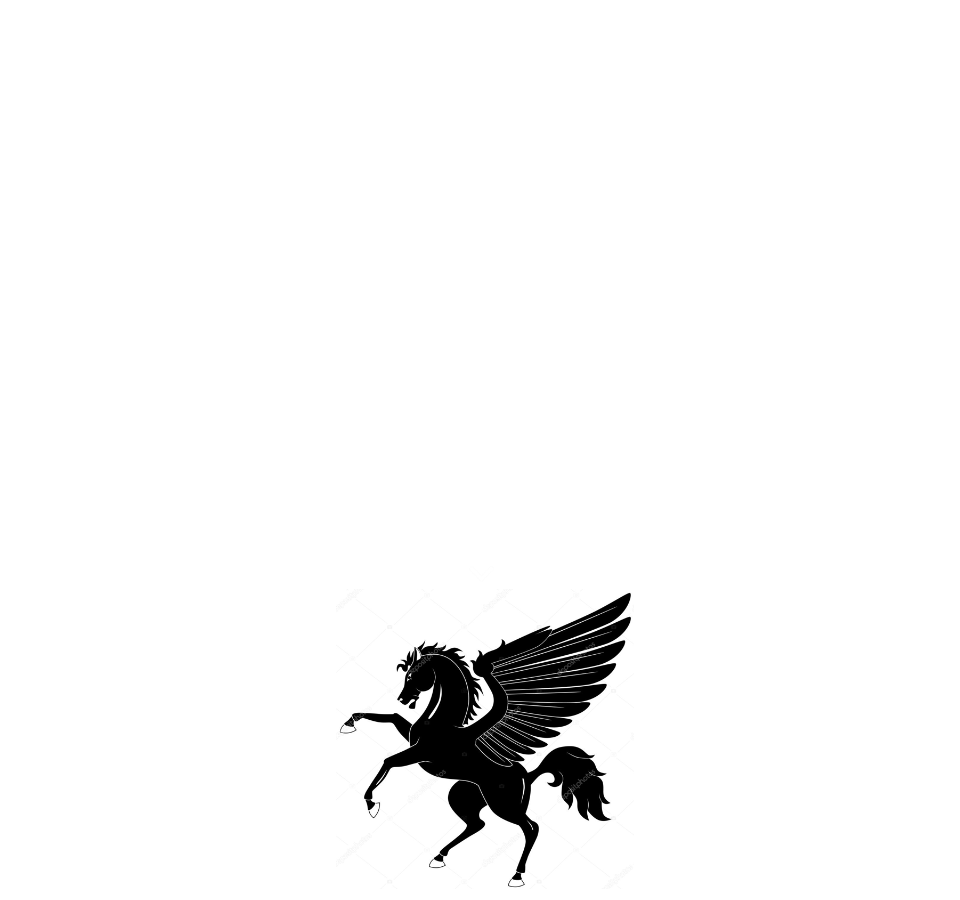 ペガサスジャパンオーナーズクラブ ペガサスジャパンオーナーズクラブ